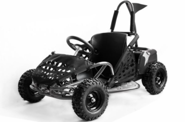 Preview: 1000W Eco Buggy GoKid 6 Zoll 48V Offroad Kinderbuggy